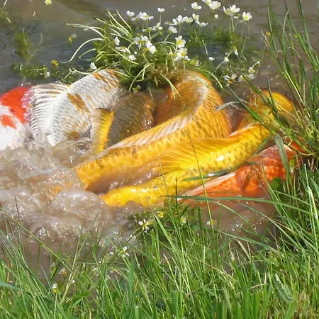 Gospodarstwo wiejskie La Dame Blanche Bérig-Vintrange