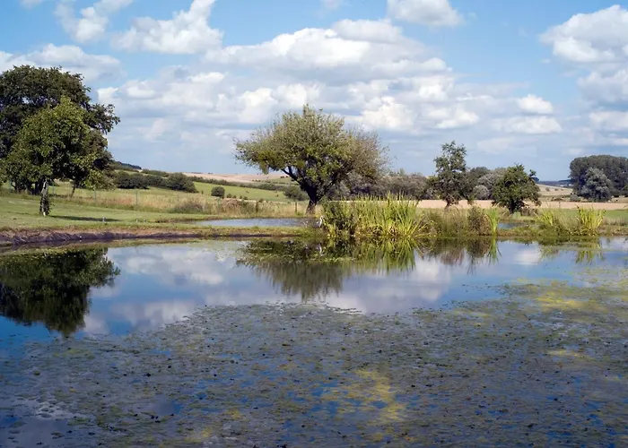 乡村民宿 菈爵士布兰奇酒店 Bérig-Vintrange